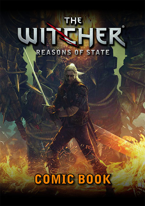 The-Witcher-Reasons-of-State-2011